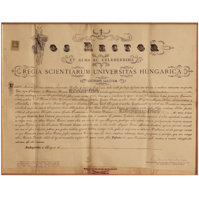 Fekete László egyetemi diplomája